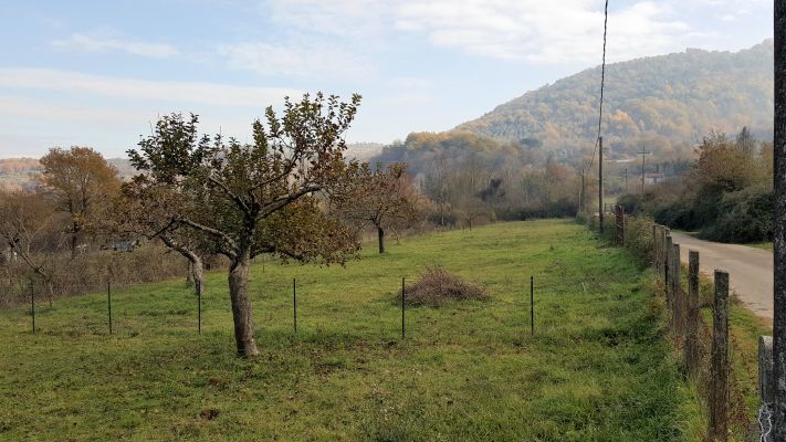 https://www.progettocasa1.it/immagini_immobili/14-04-2017/terreno-vendita-montelanico-roma-vigne-nuove-17.jpg